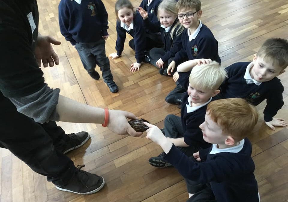 The Animal Man Visits Reception and KS1