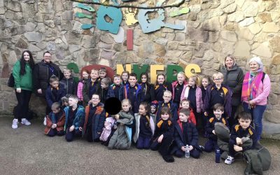 Year 2 Have a Fantastic Day at Conkers!