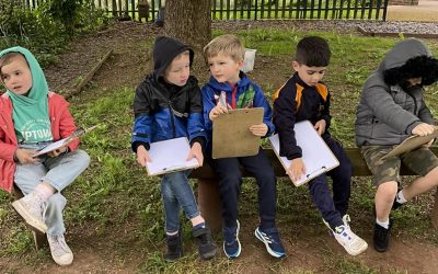 Year 1 Explore The Wildlife In and Around The School Grounds