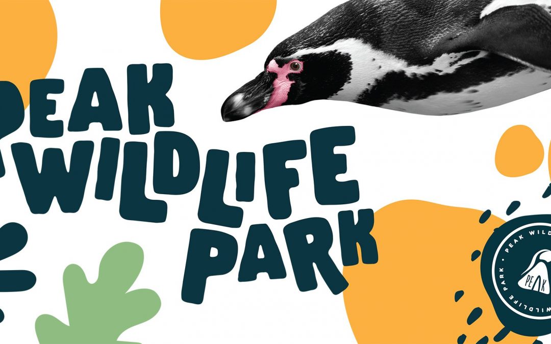 Information About Y1 School Trip, Peak Wildlife Park – Friday 1st December 2023