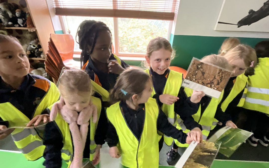 Year 3 – Autumn 1 Update