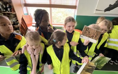 Year 3 – Autumn 1 Update