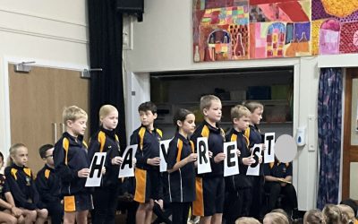 Thank You For Your Food Bank Donations!