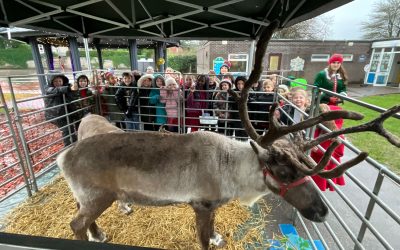 Year 3 – Autumn 2 Update