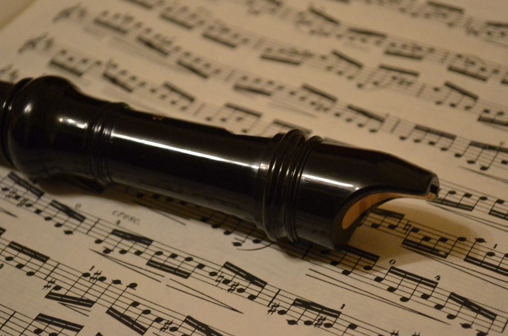 Information about Y3 Recorder Festival at Trentham Gardens