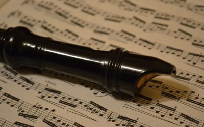 Information about Y3 Recorder Festival at Trentham Gardens