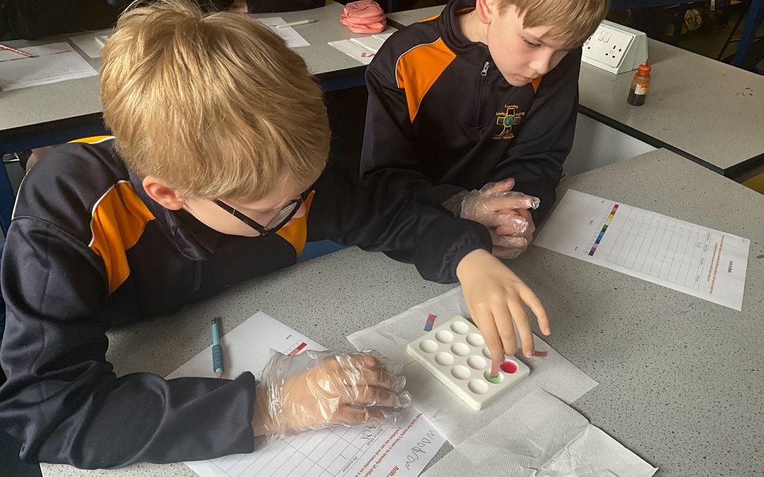 Summer Half Term 1