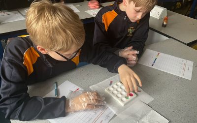 Summer Half Term 1